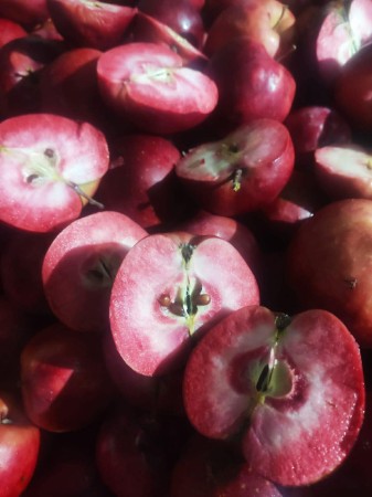 598548369_826534180260283_4540954638048766598_n (1).jpg